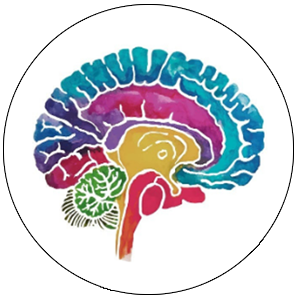 physiotherapy-Concussion-Treatment-Program